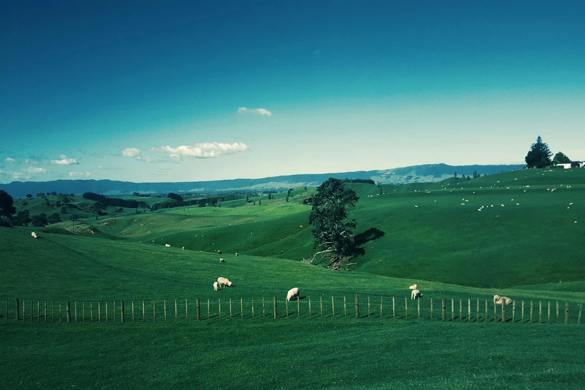 Weather and climate in New Zealand — seasons, regions, and what to pack