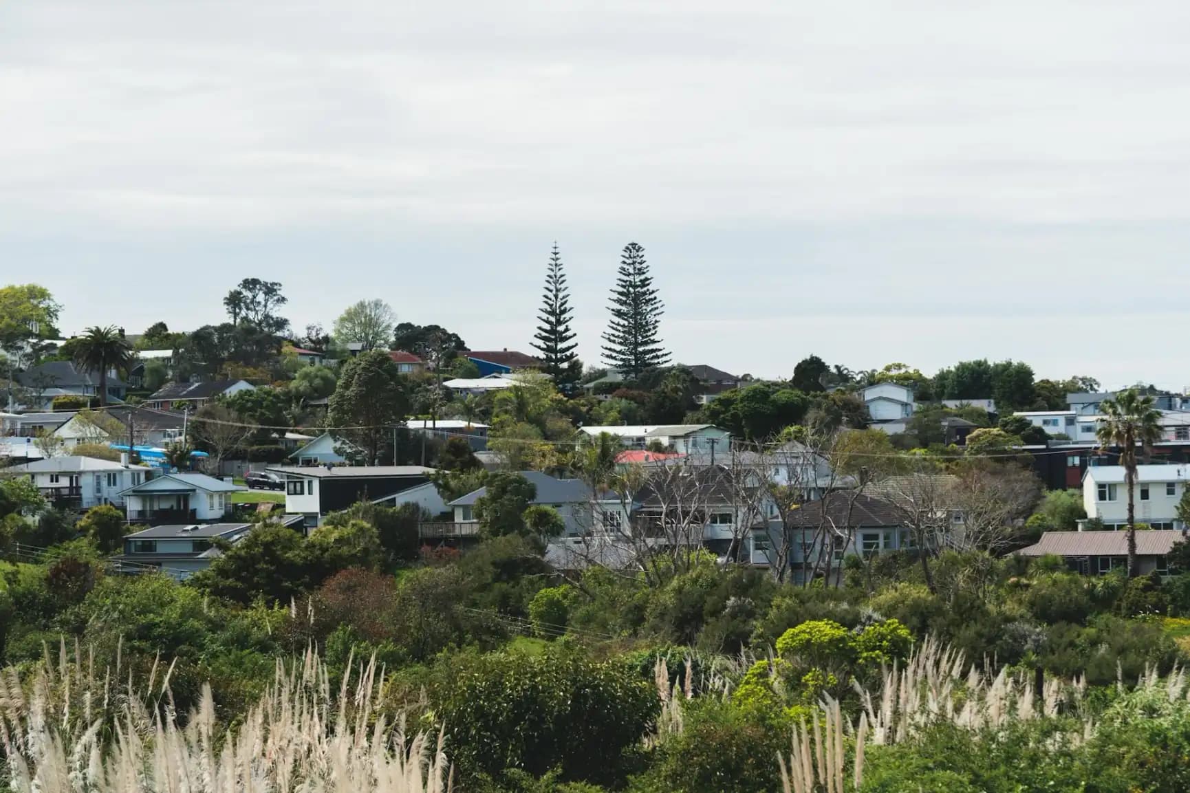 Settlement in New Zealand — what happens after your visa and how to prepare