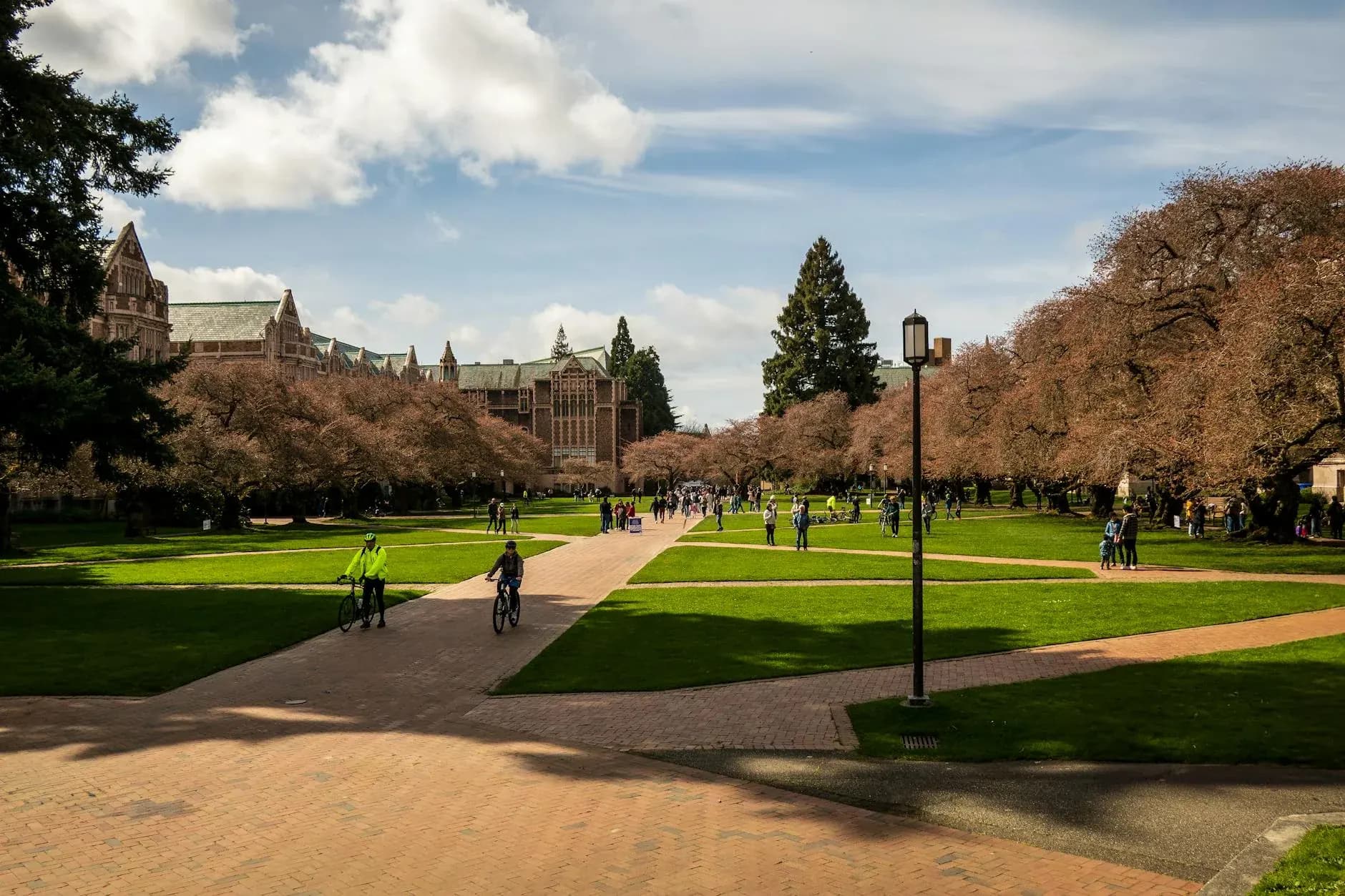 New Zealand university campus — study pathway entry for international students