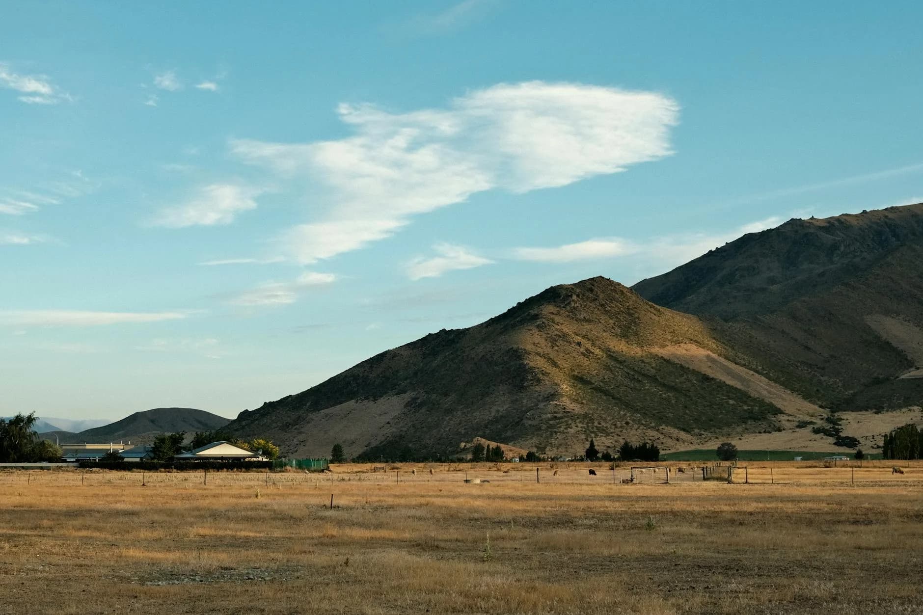 Lincoln University — specialist agriculture, environment, and land management in Canterbury