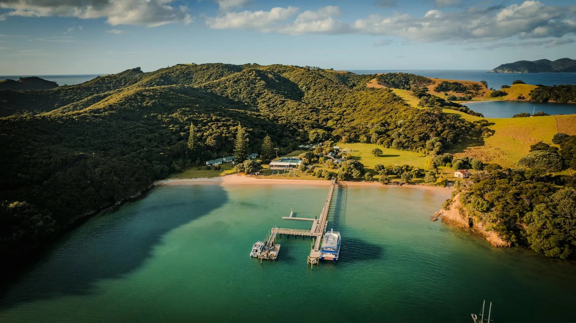 Why New Zealand — quality of life, professional demand, and what makes this destination right