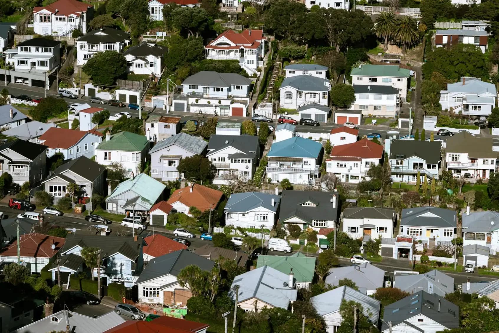 Citizenship and belonging in New Zealand — timeline, eligibility, and what to plan for