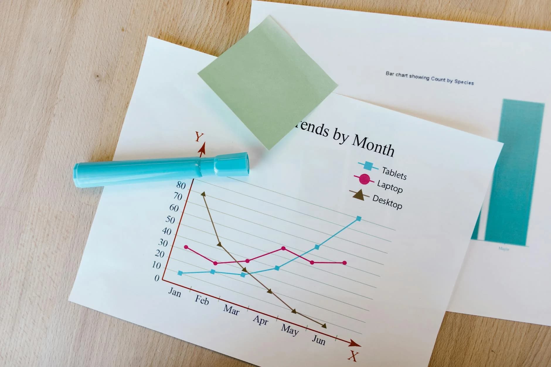 Study trends — RTNZ Intelligence