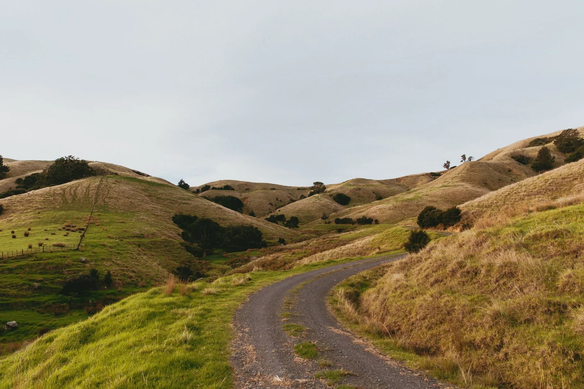 Pakistan-trained environmental scientist reviewing field sampling, compliance and New Zealand role mapping evidence