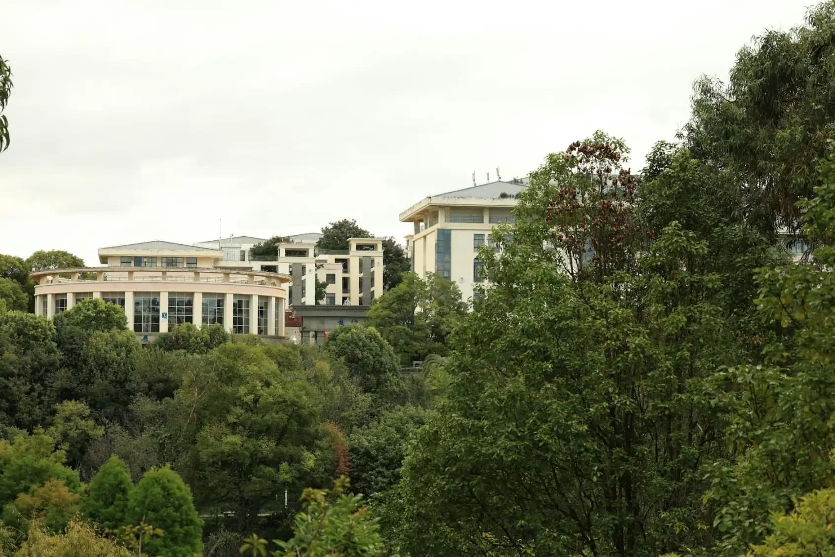 Auckland University of Technology — career-focused degrees and strong industry connections